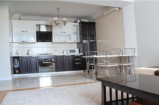 Monthly rental in the center of Chisinau: 2 rooms, 1 bedroom, 47 m²