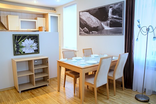 Rent Chisinau apartment in city center: 2 rooms, 1 bedroom, 45 m²