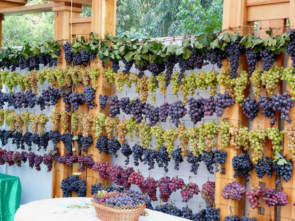 Be Part of the Moldova Annual Wine Festival of 2019